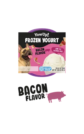 Frozen Yogurt Bacon - YowUp!