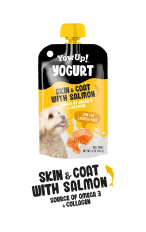 Yogurt skin coat with salmón - YowUp!