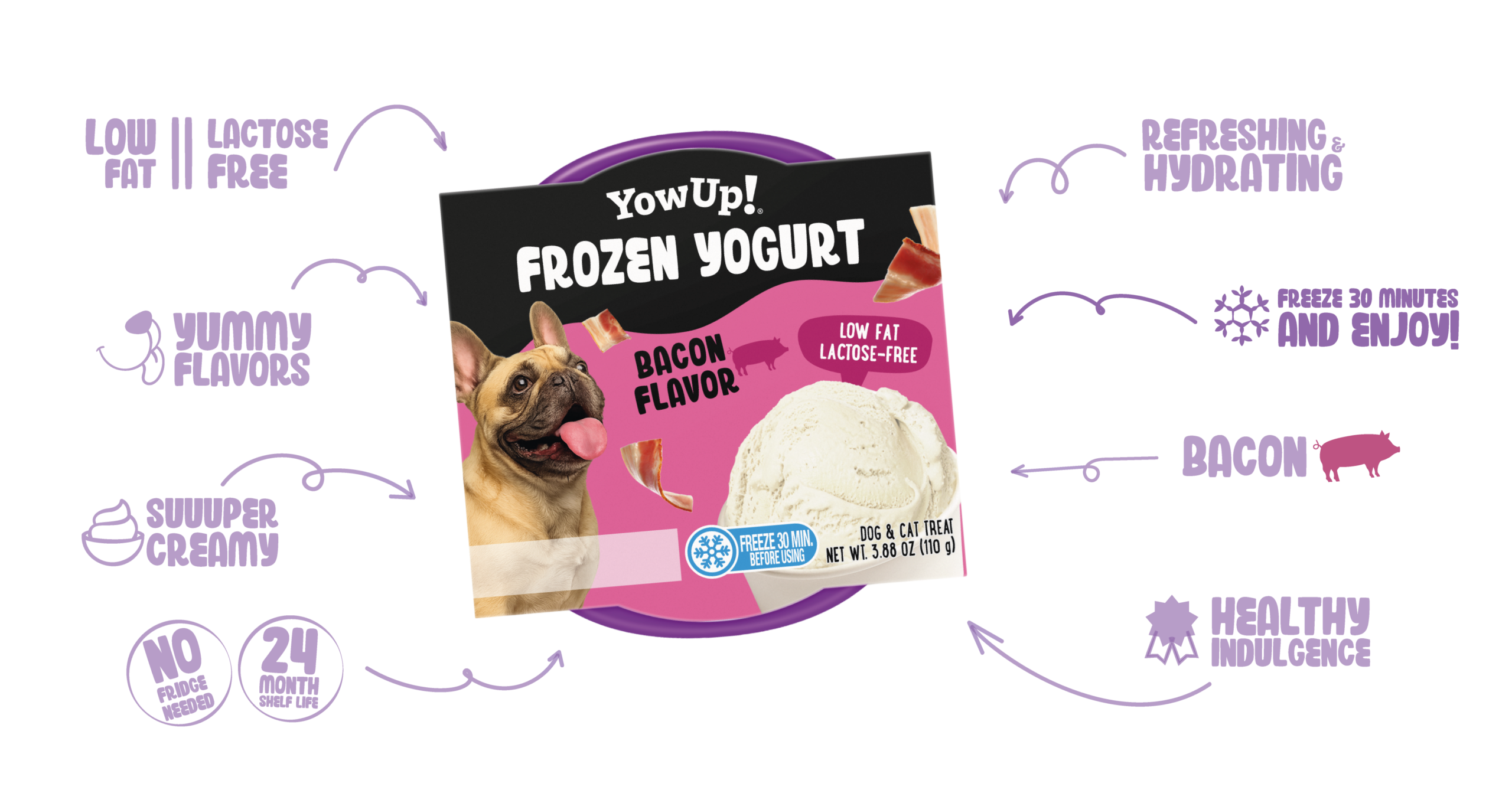 Frozen Yogurt Bacon Flavor
