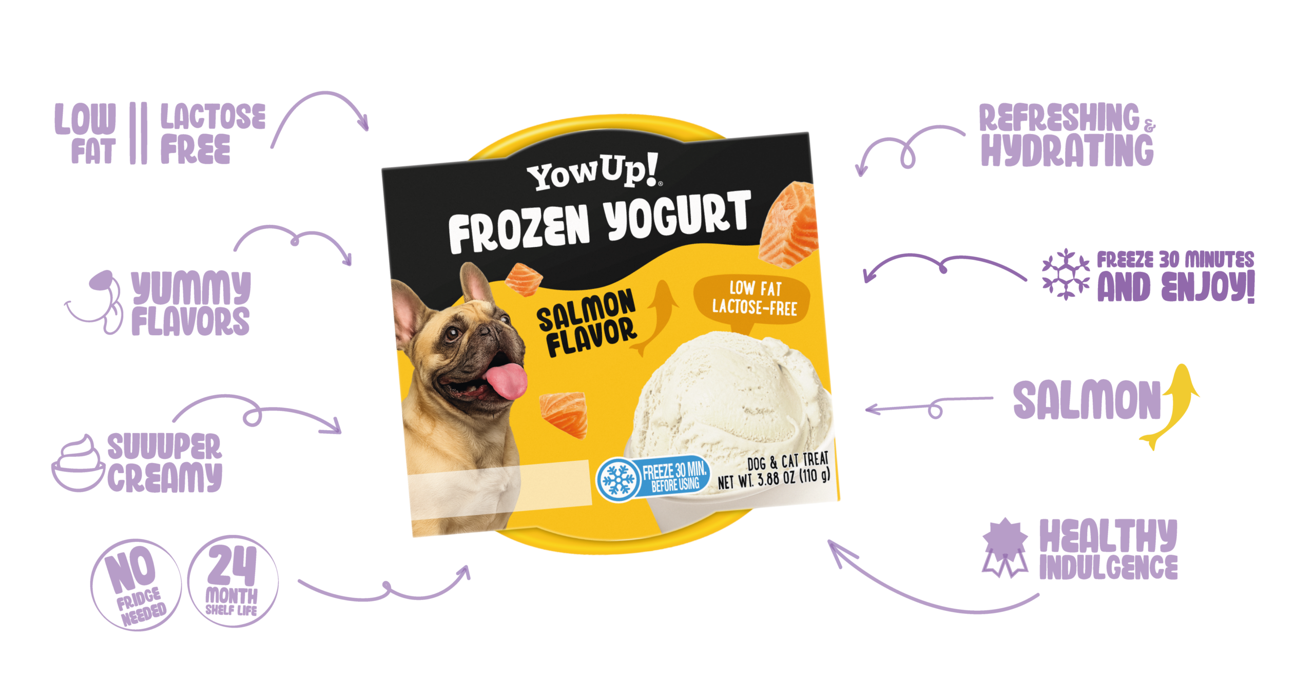 Frozen Yogurt Salmon Flavor