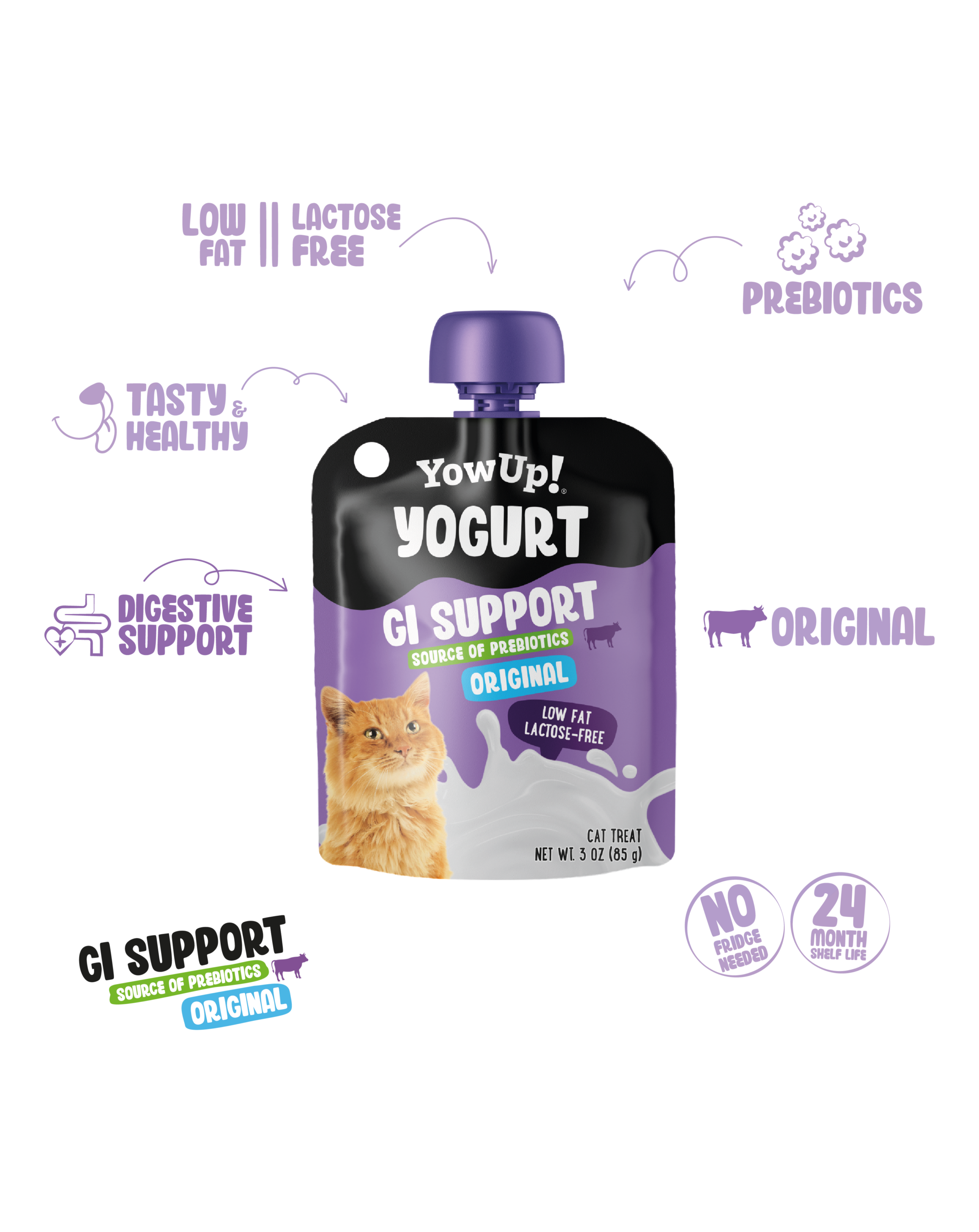 Digestive Support