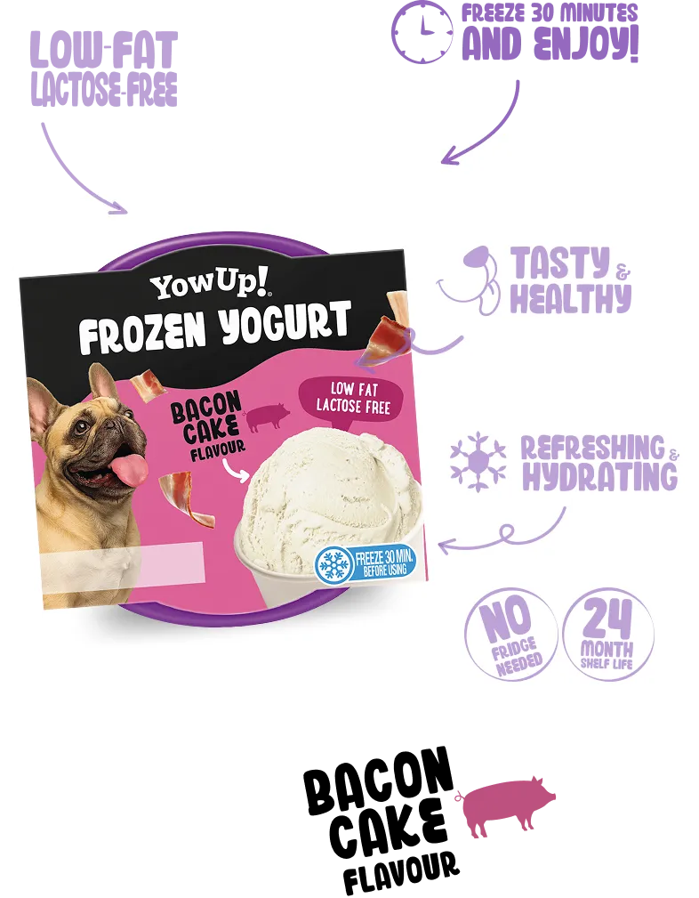 Frozen Yogurt Bacon Flavor