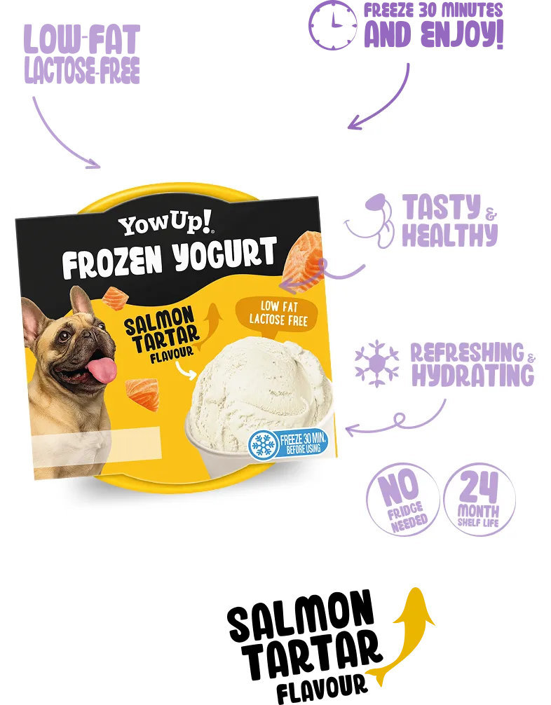 Frozen Yogurt Salmon Flavor