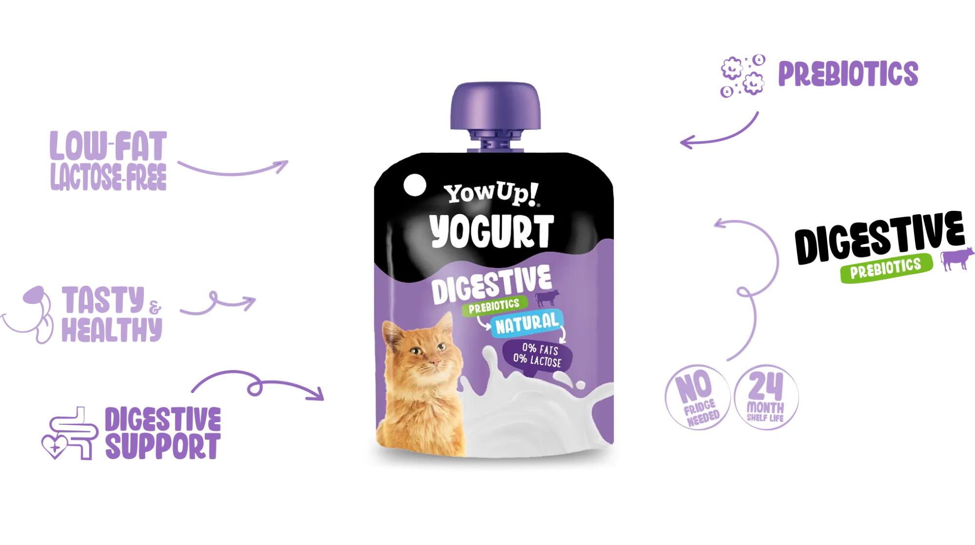 Digestive Support