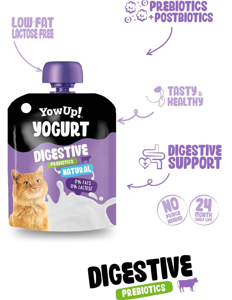 Digestive Support