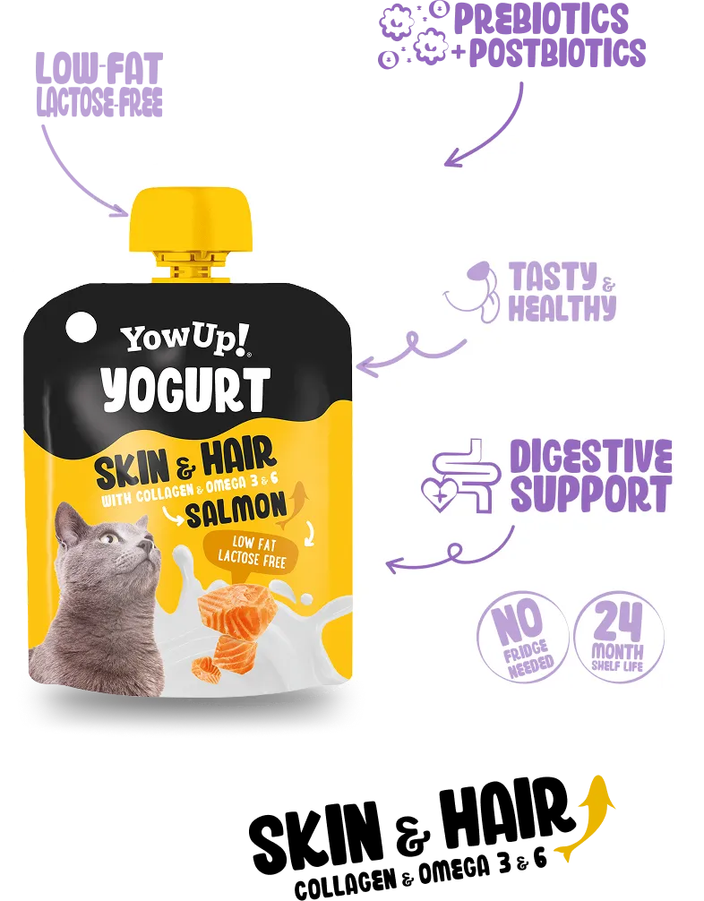 Skin & Coat Support