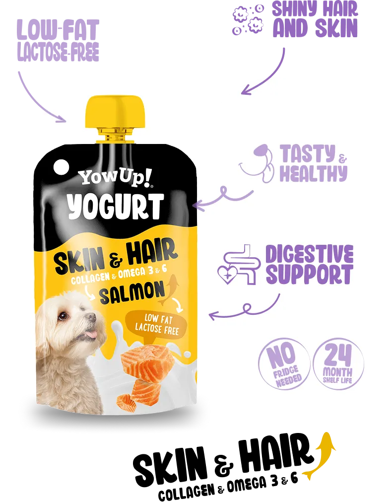 Skin & Coat Support