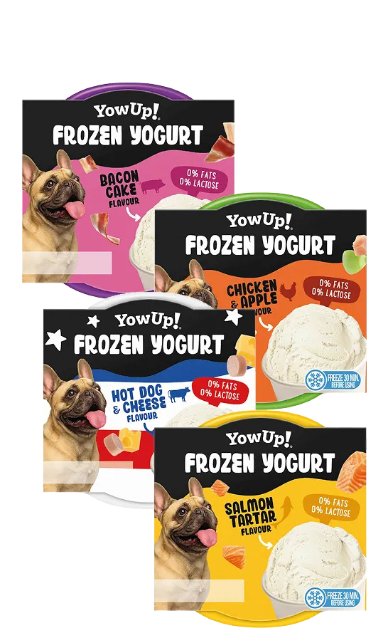 Frozen Yogurt YowUp!