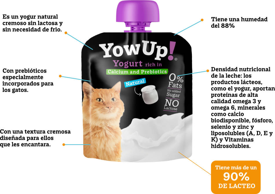 yogur natural para gatos sin lactosa