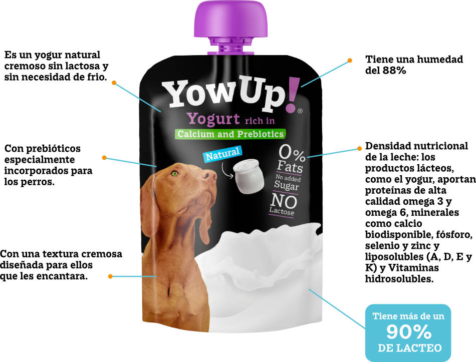 yogur natural para perros sin lactosa