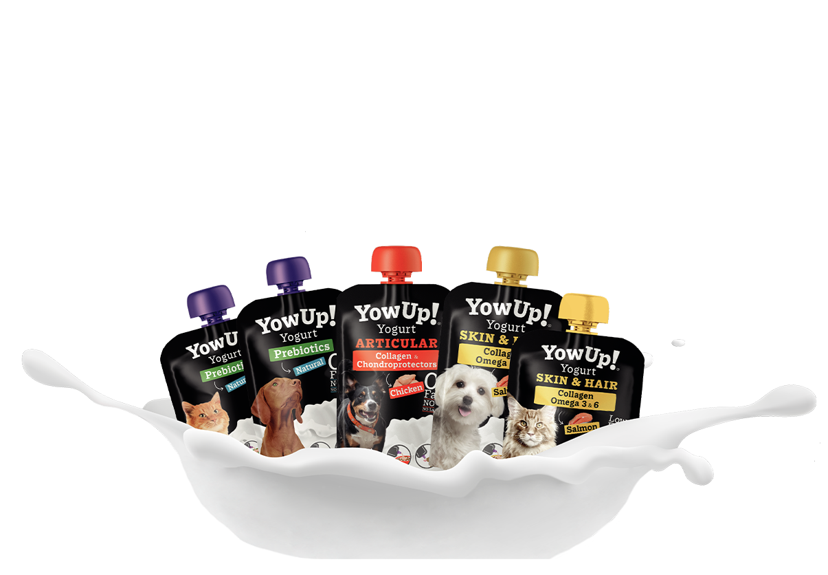 Yow Up! Yogur Natural - Prebiótico – Guauful
