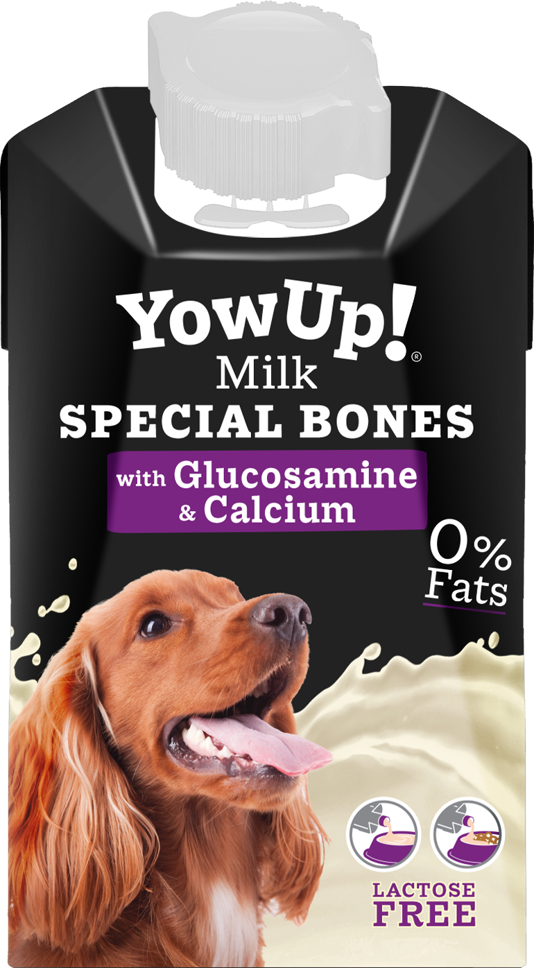 leche para perros yowup leche para perros yowup