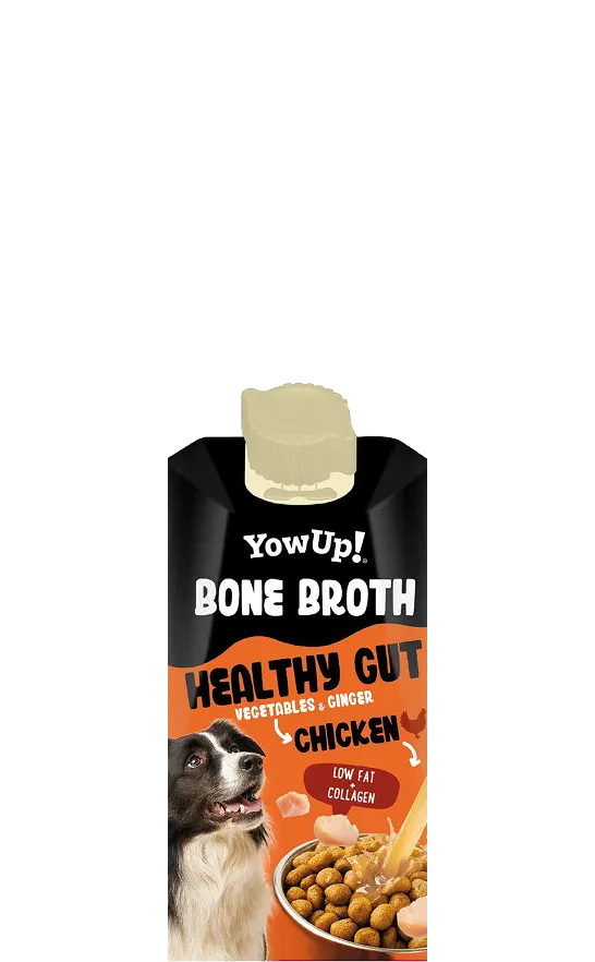 Meal topper vegs y tumeric chicken - Bone Broth - YoWup