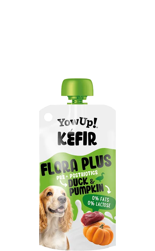 Flora plus pre+postbiotics duck & pumpkin - Kéfir - YoWup