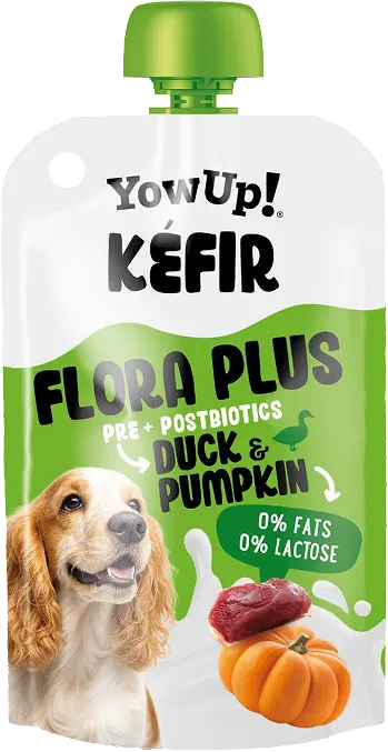 Flora plus pre+postbiotics duck & pumpkin - Kéfir - YoWup