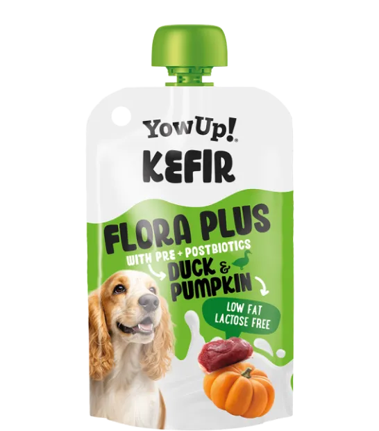 Flora plus pre+postbiotics duck & pumpkin - Kéfir - YoWup