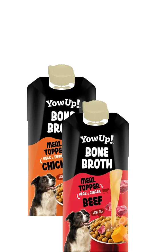 Bone broth Perros YowUp!