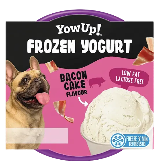 Frozen yogurt bacon cake - YowUp!