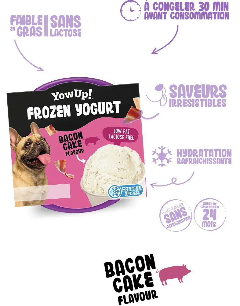 Frozen Yogurt Bacon Cake
