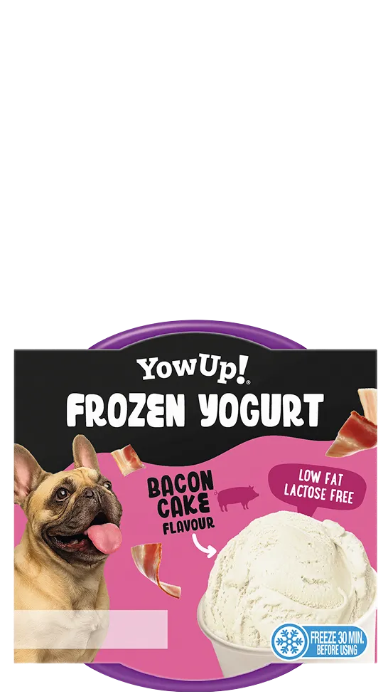 Yogur Helado bacon para Perros - YowUp!
