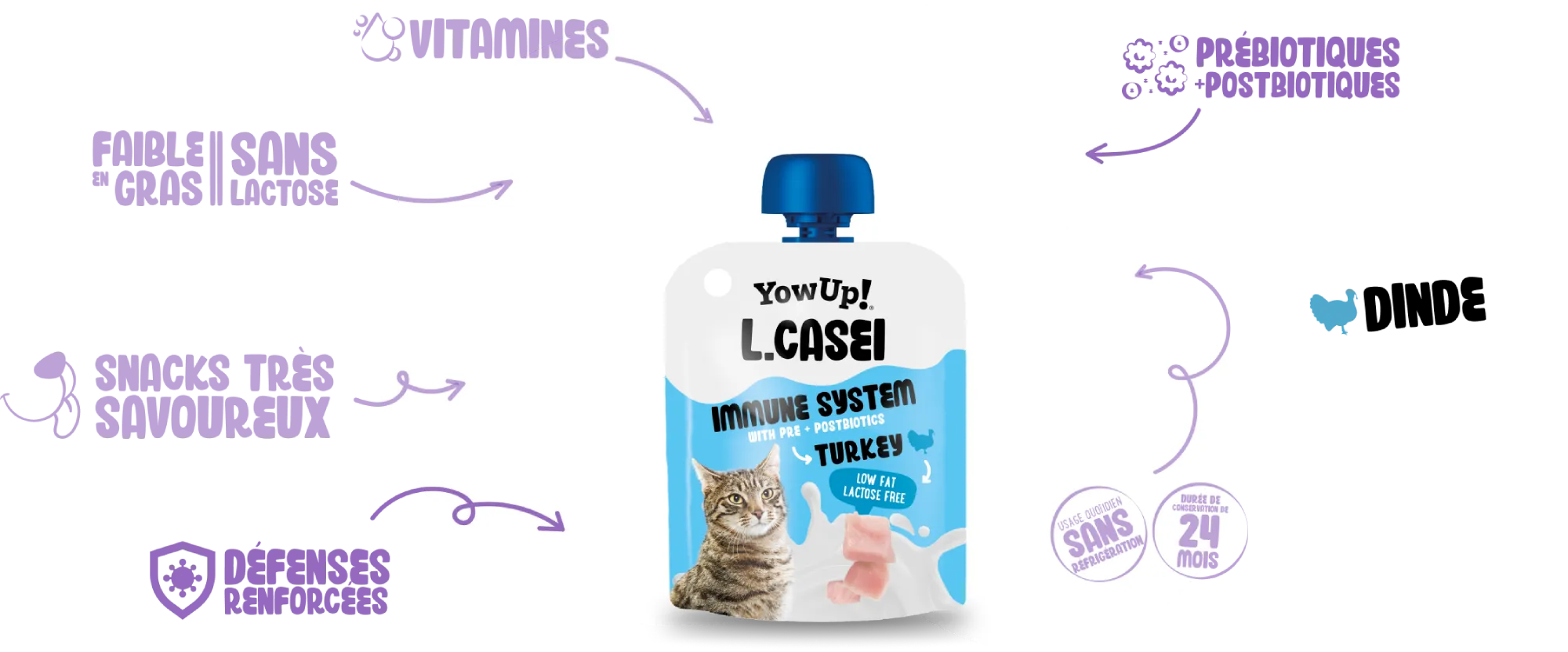 L. Casei Immune system Turkey