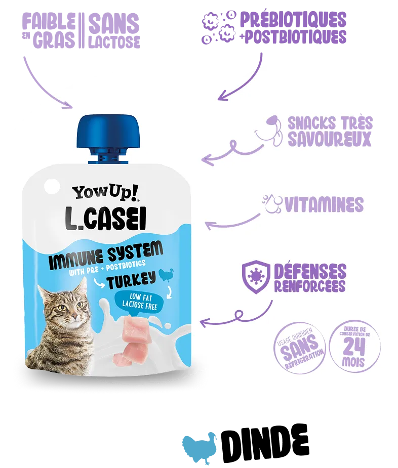 L. Casei Immune system Turkey