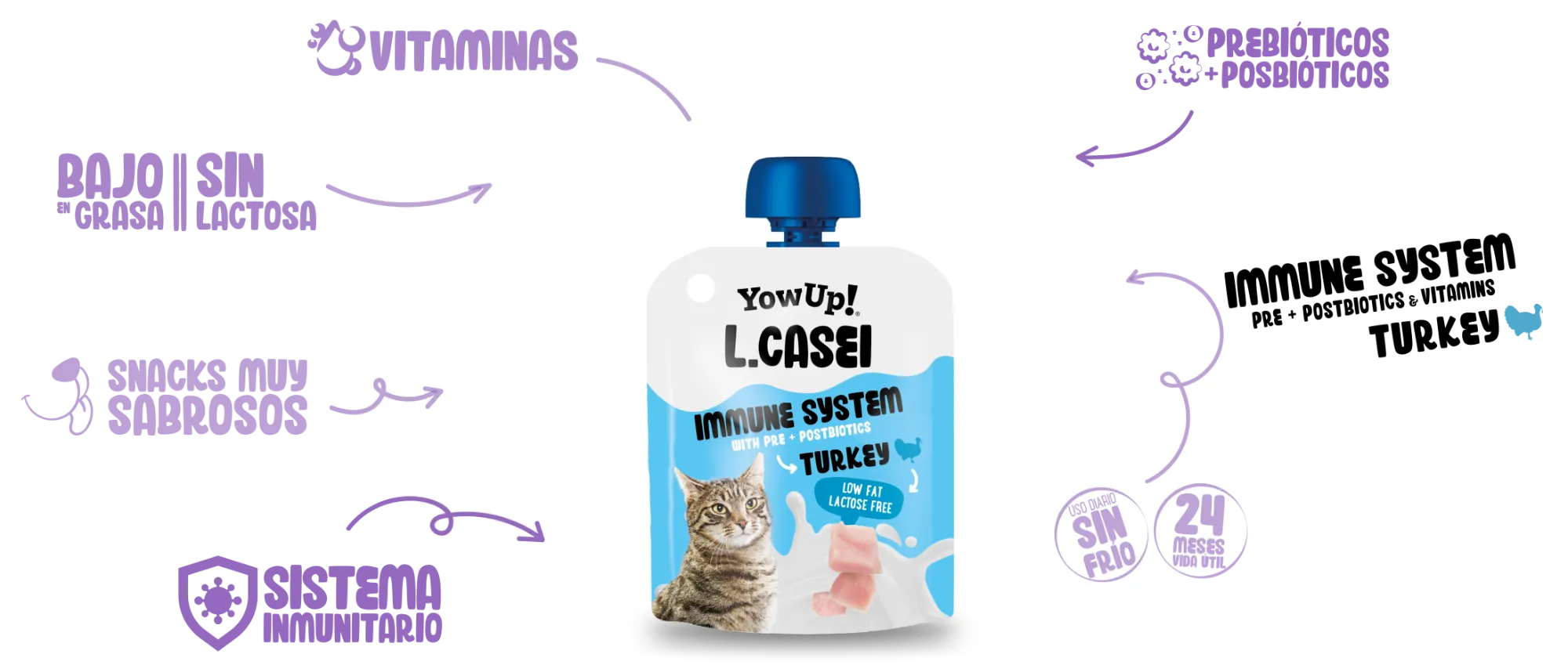 L. Casei Immune system Turkey