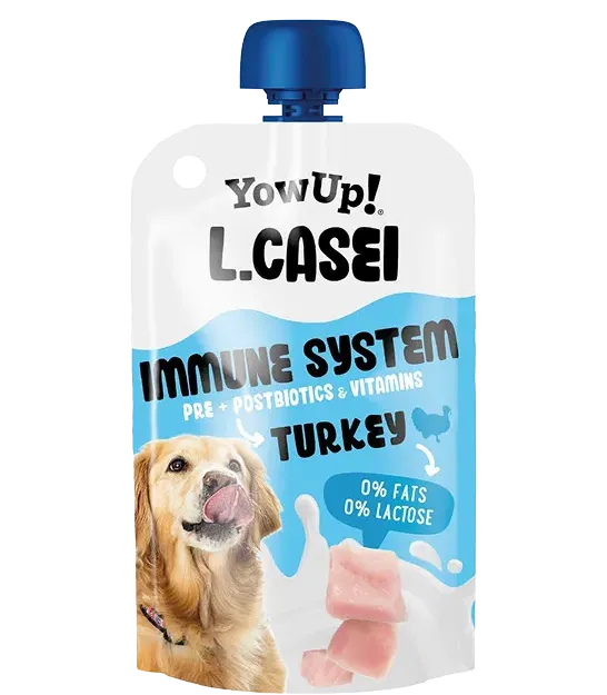 L Casei para perros - YowUp!