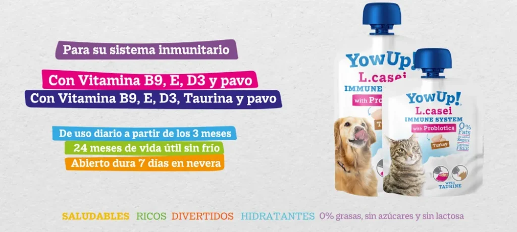Nuevo L.Casei YowUp!