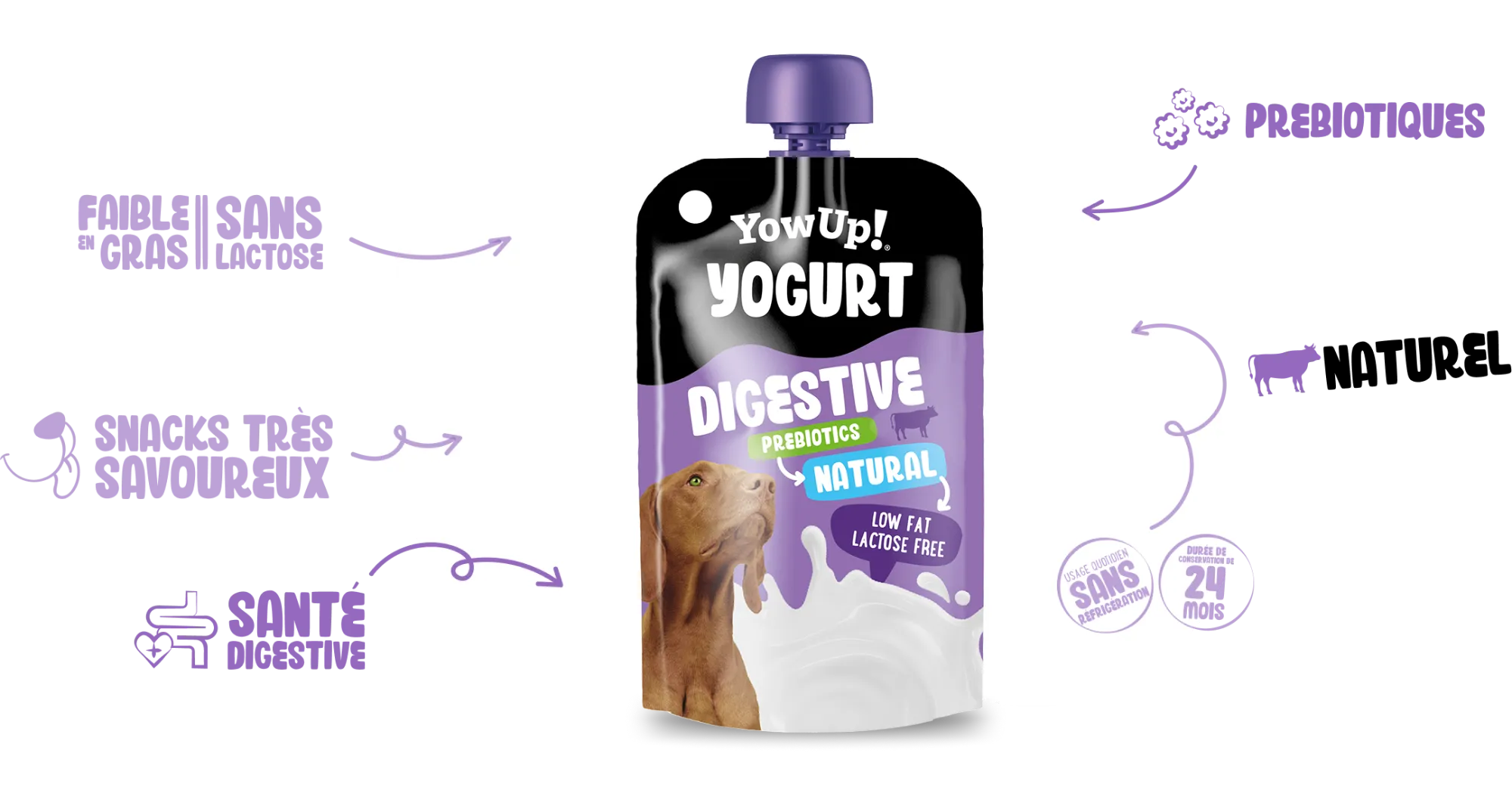 Yaourt Digestif naturel
