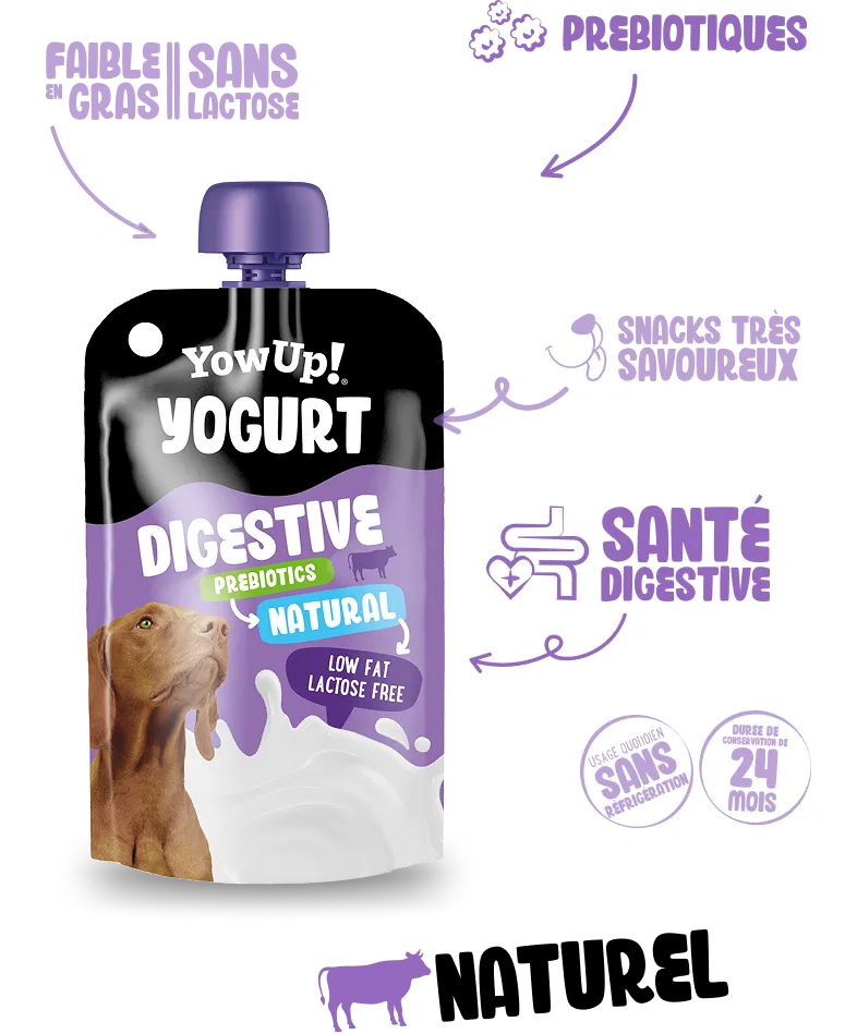 Yaourt Digestif naturel