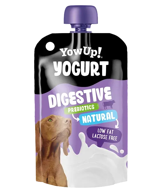 Yogur digestive natural probiótico para Perros - YowUp!
