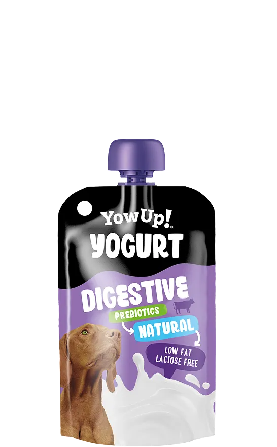 Yogur digestive natural probiótico para Perros - YowUp!