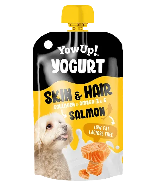 Yogur Salmón - YowUp!