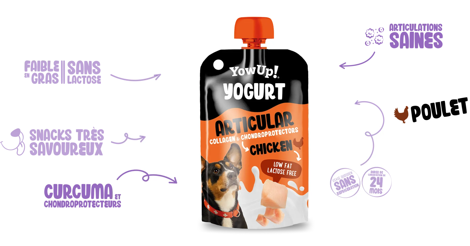 Yogur Articular chicken