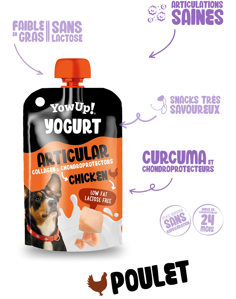 Yogur Articular chicken