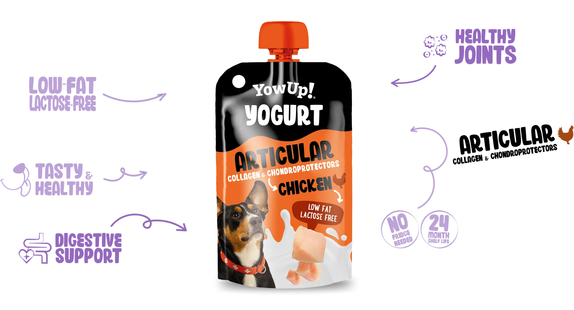 Yogurt Articular chicken