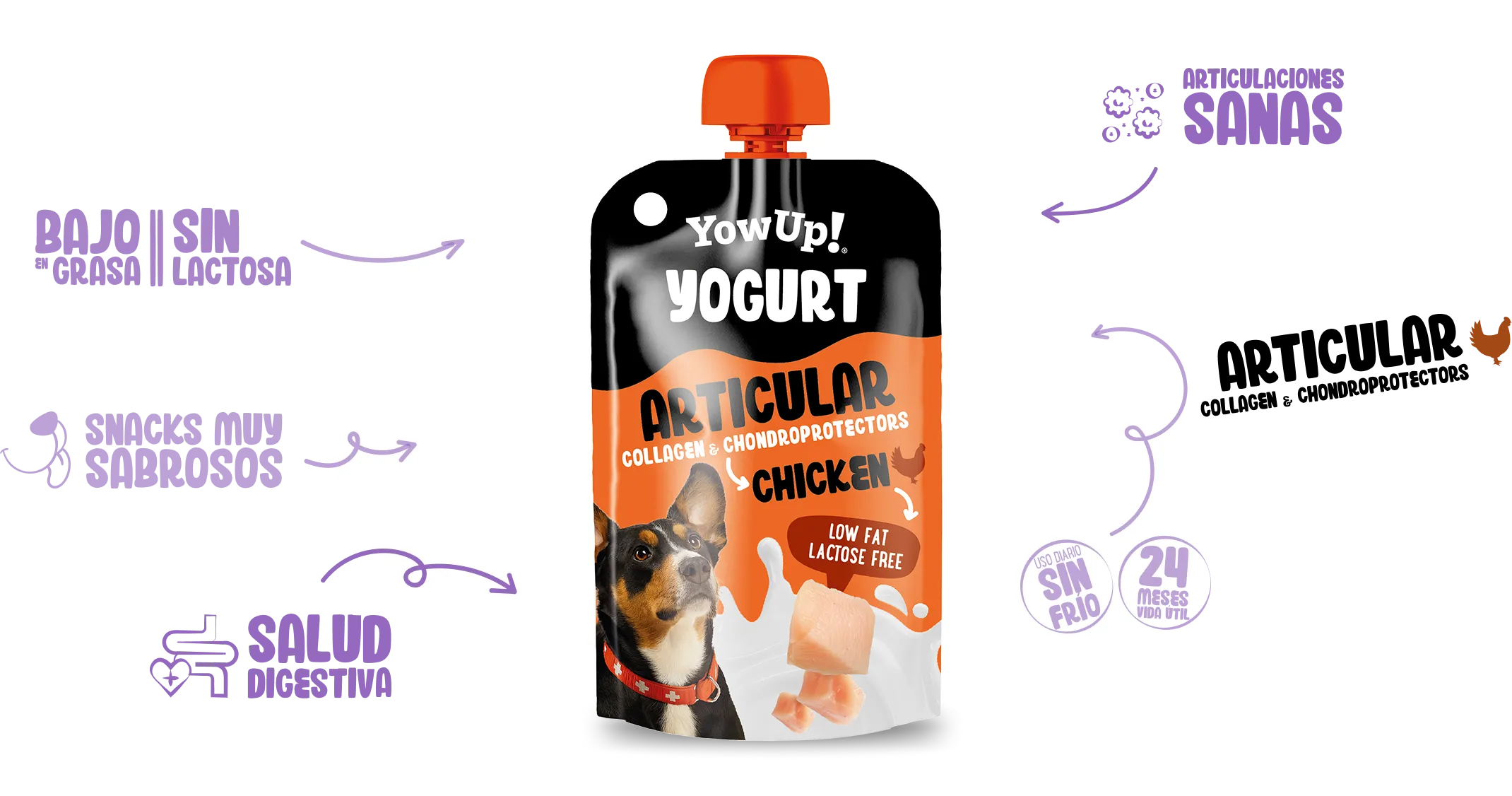 Yogur Articular chicken