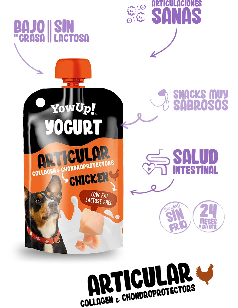 Yogur Articular chicken