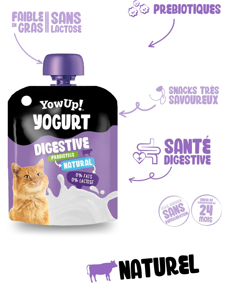 Yogur Digestive natural