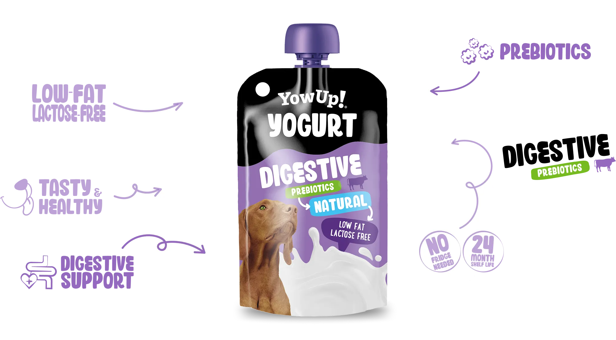 Yogurt Digestive natural