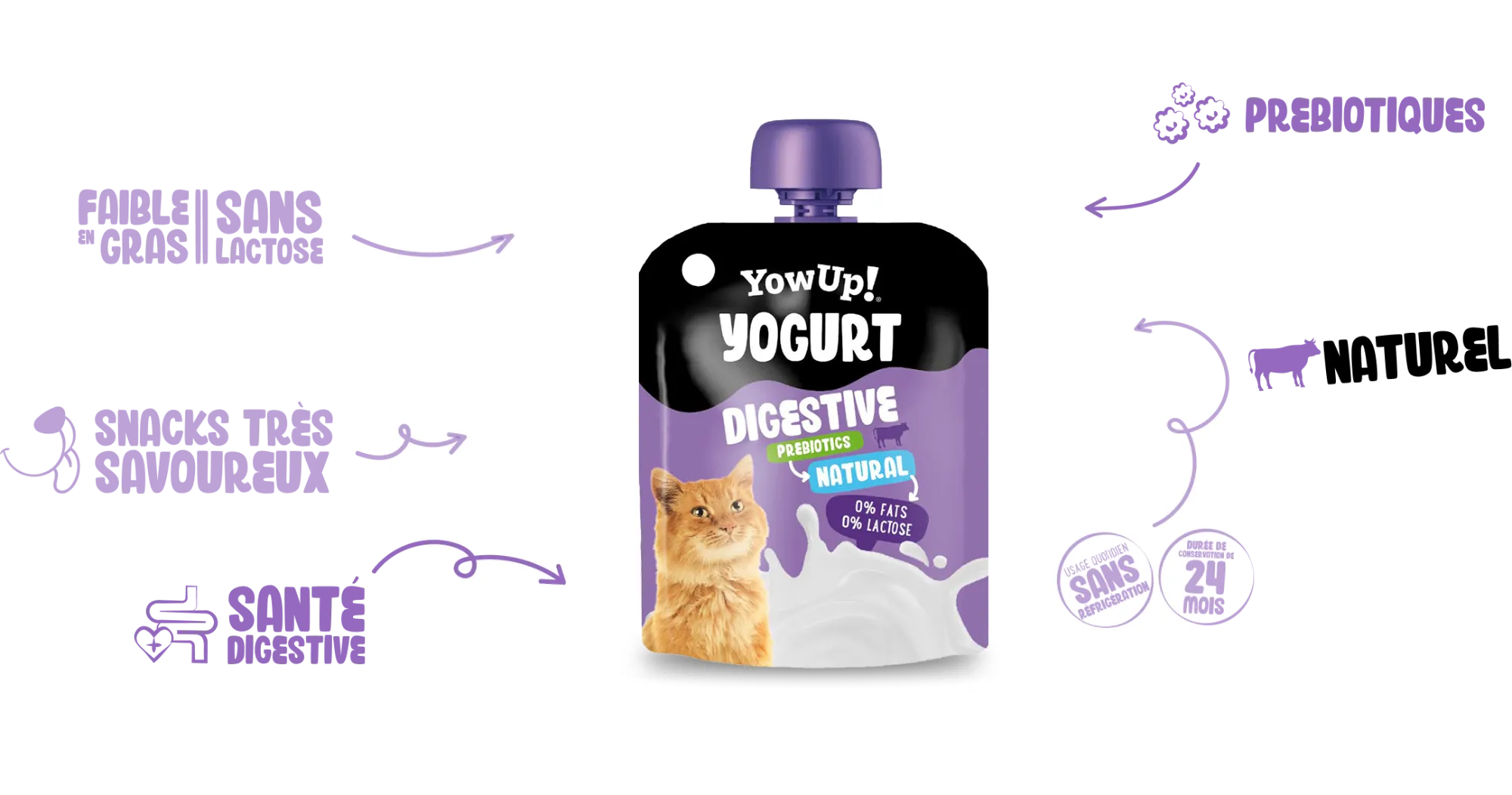 Yogur Digestive natural