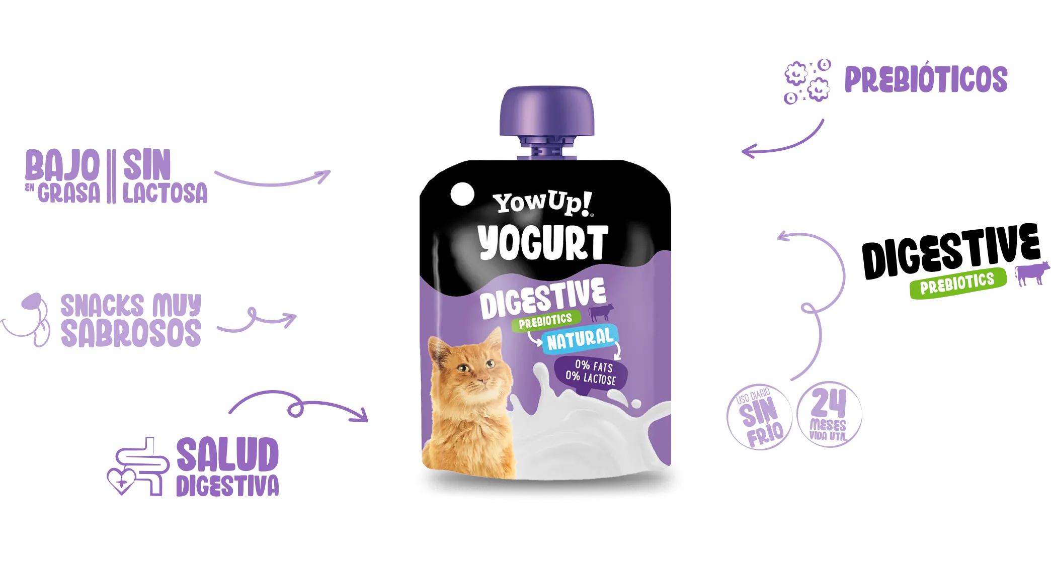 Yogur Digestive natural