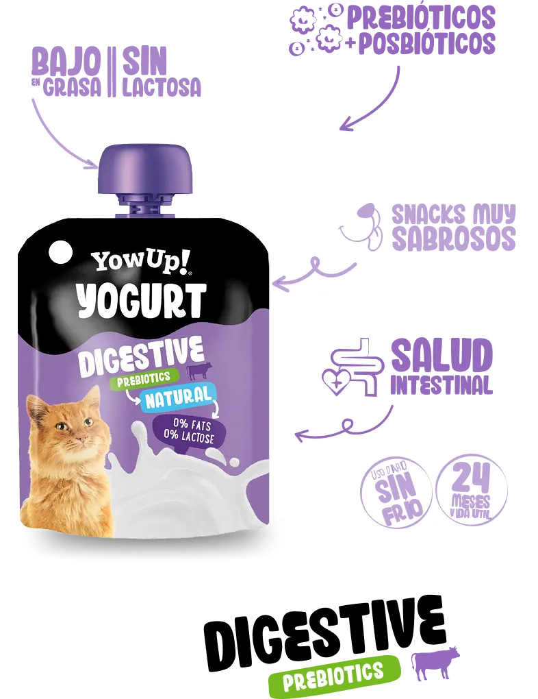 Yogur Digestive natural