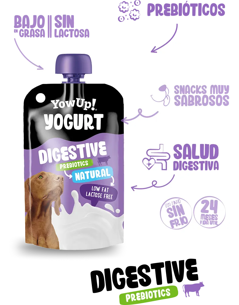 Yogur Digestive natural