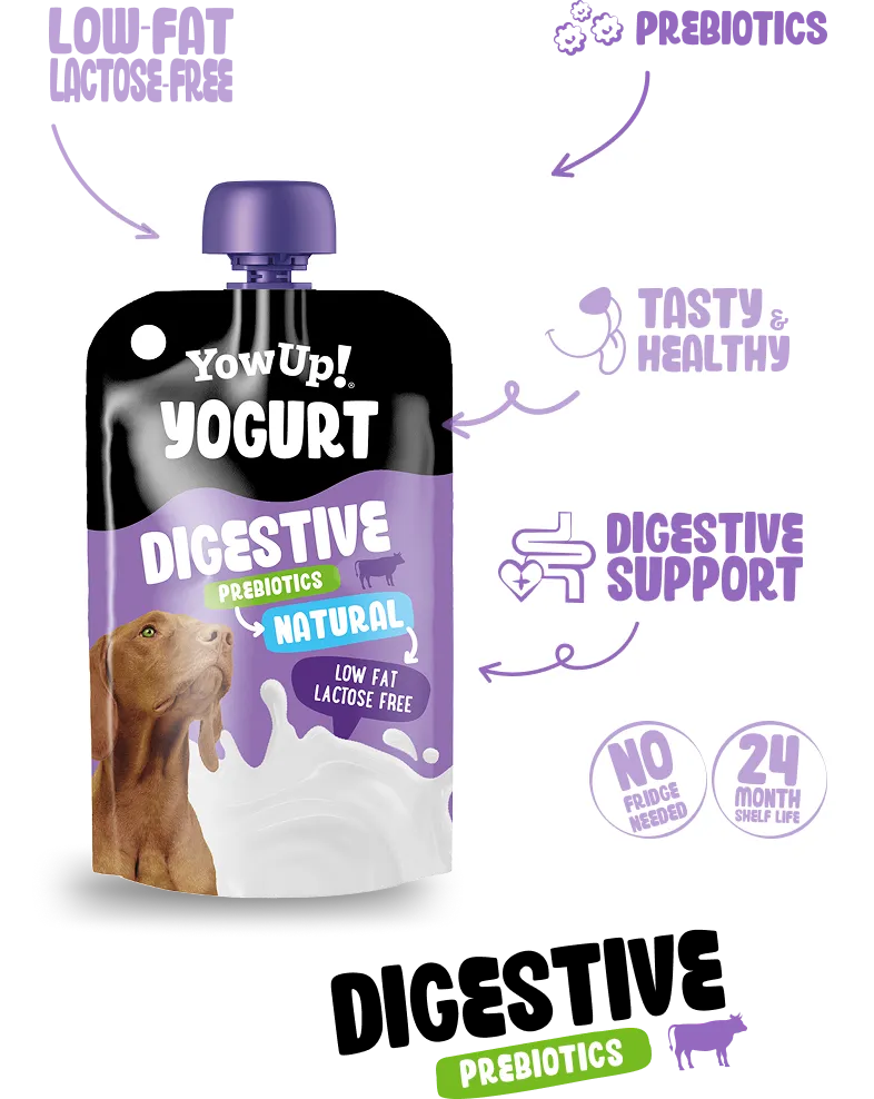 Yogurt Digestive natural