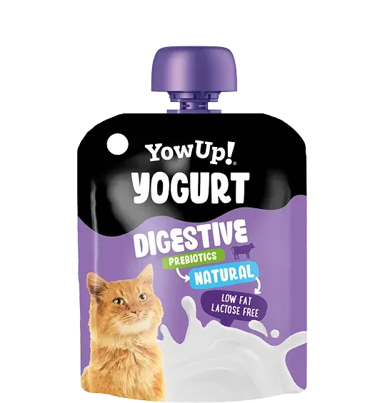 Yogur digestive natural probiótico para Gatos - YowUp!