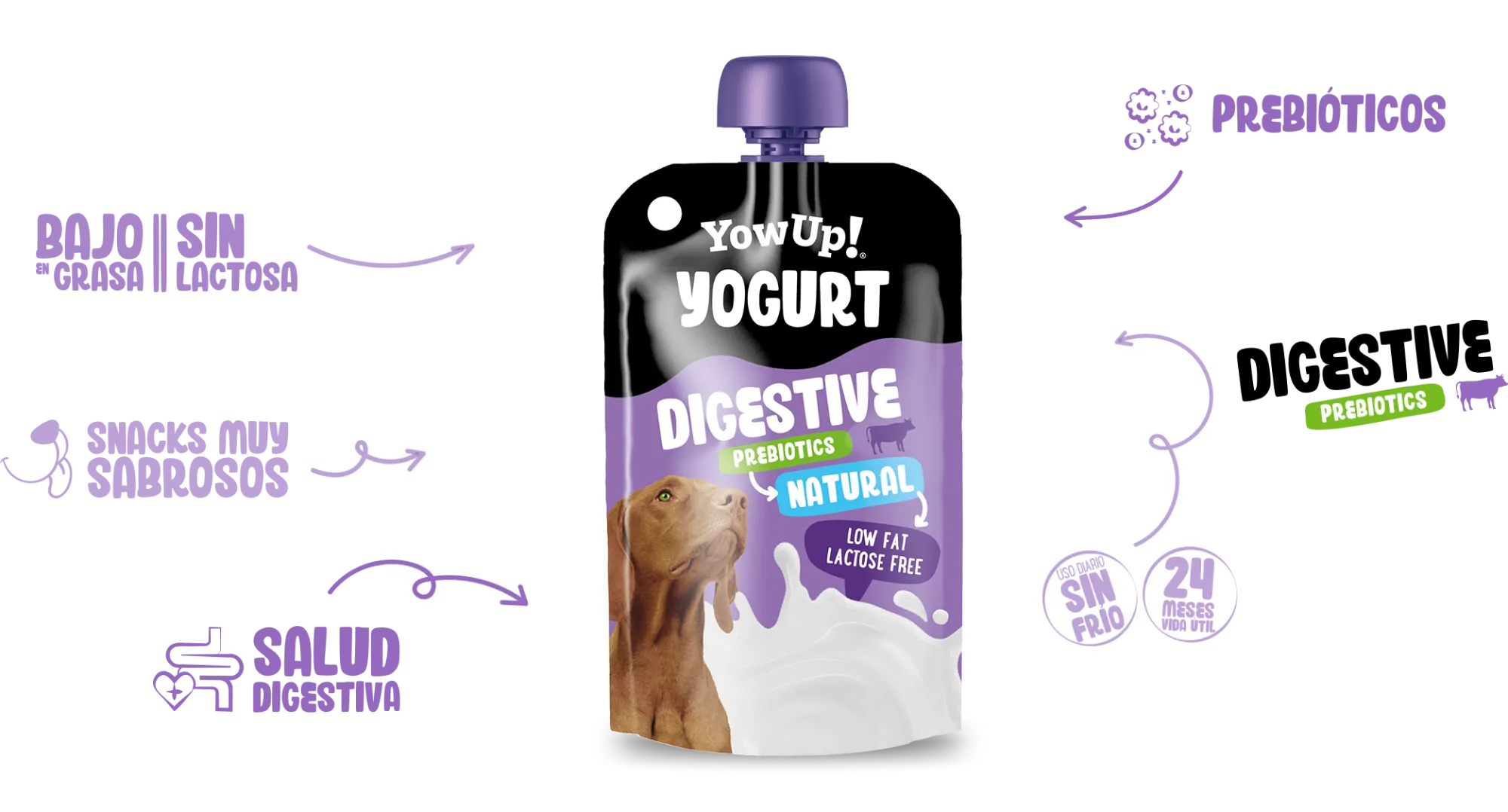 Yogur Digestive natural