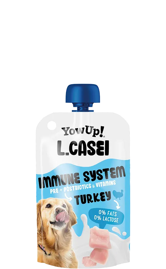 L.Casei Dogs