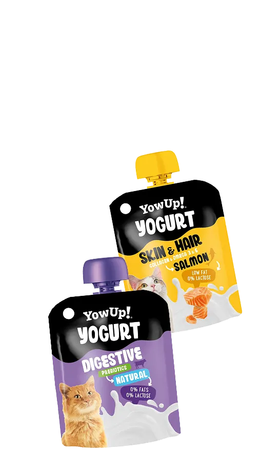 Yogurt cats
